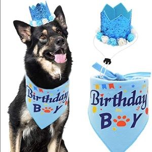 NWT birthday boy bandana & crown set